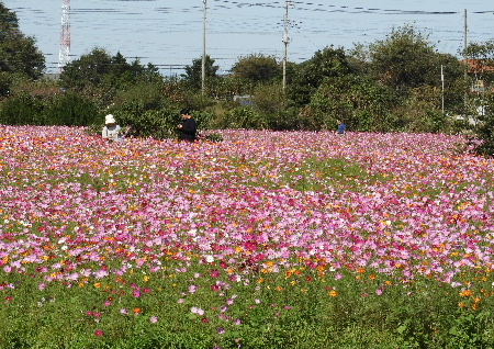 e0172950_21232543.jpg