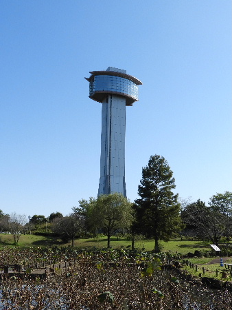 e0172950_21262443.jpg