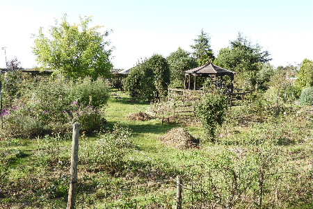 e0172950_21263686.jpg