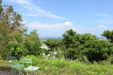 f0367954_16490939.jpg