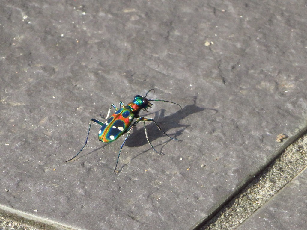 a0018655_09200653.jpg