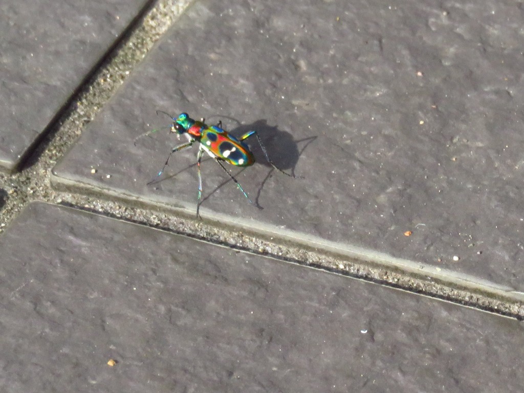 a0018655_09200690.jpg