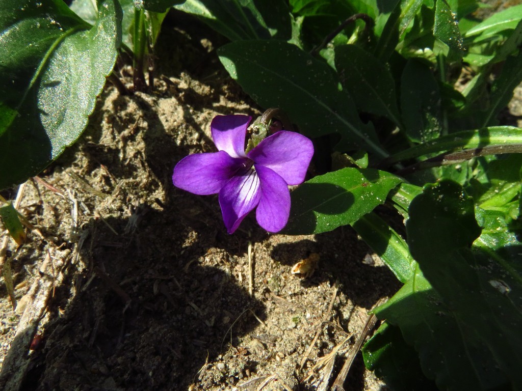a0018655_09421770.jpg