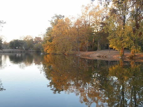 c0221565_14000593.jpg