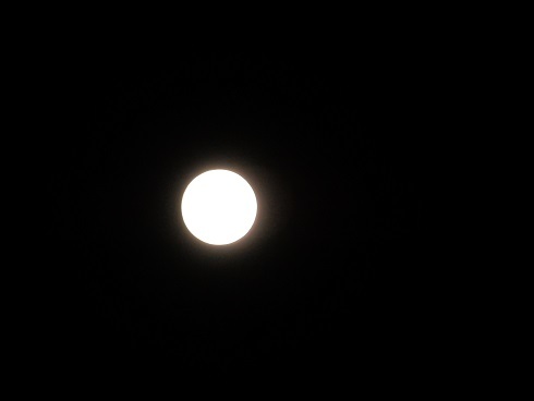 今夜は満月_e0175370_21481388.jpg