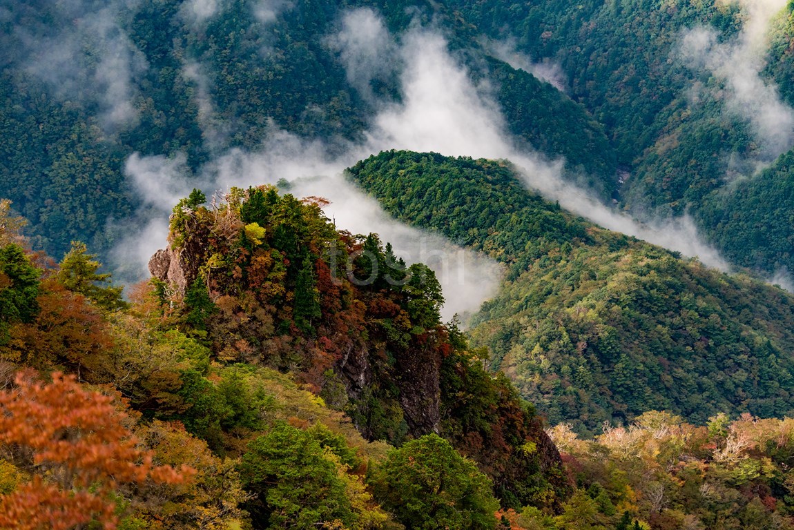 東大台　大蛇嵓_c0350572_18591195.jpg