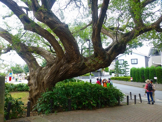 d0351575_14212465.jpg