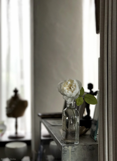 c0161578_15292951.jpg