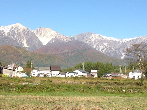 e0014678_17483328.jpg