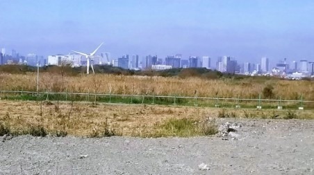 f0159480_22092601.jpg
