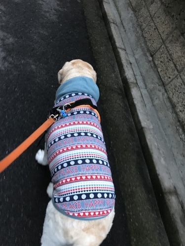 f0315081_17441844.jpeg