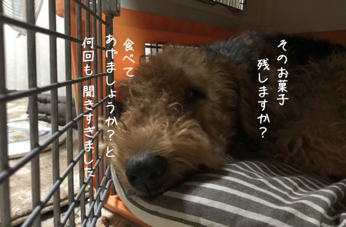a0216583_20301808.png