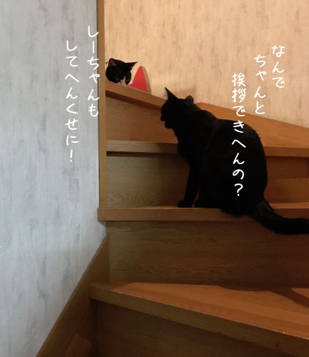 a0216583_20302703.png