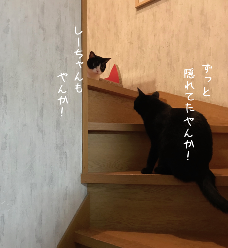 a0216583_20303555.png