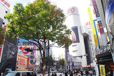 b0056983_12001298.jpg