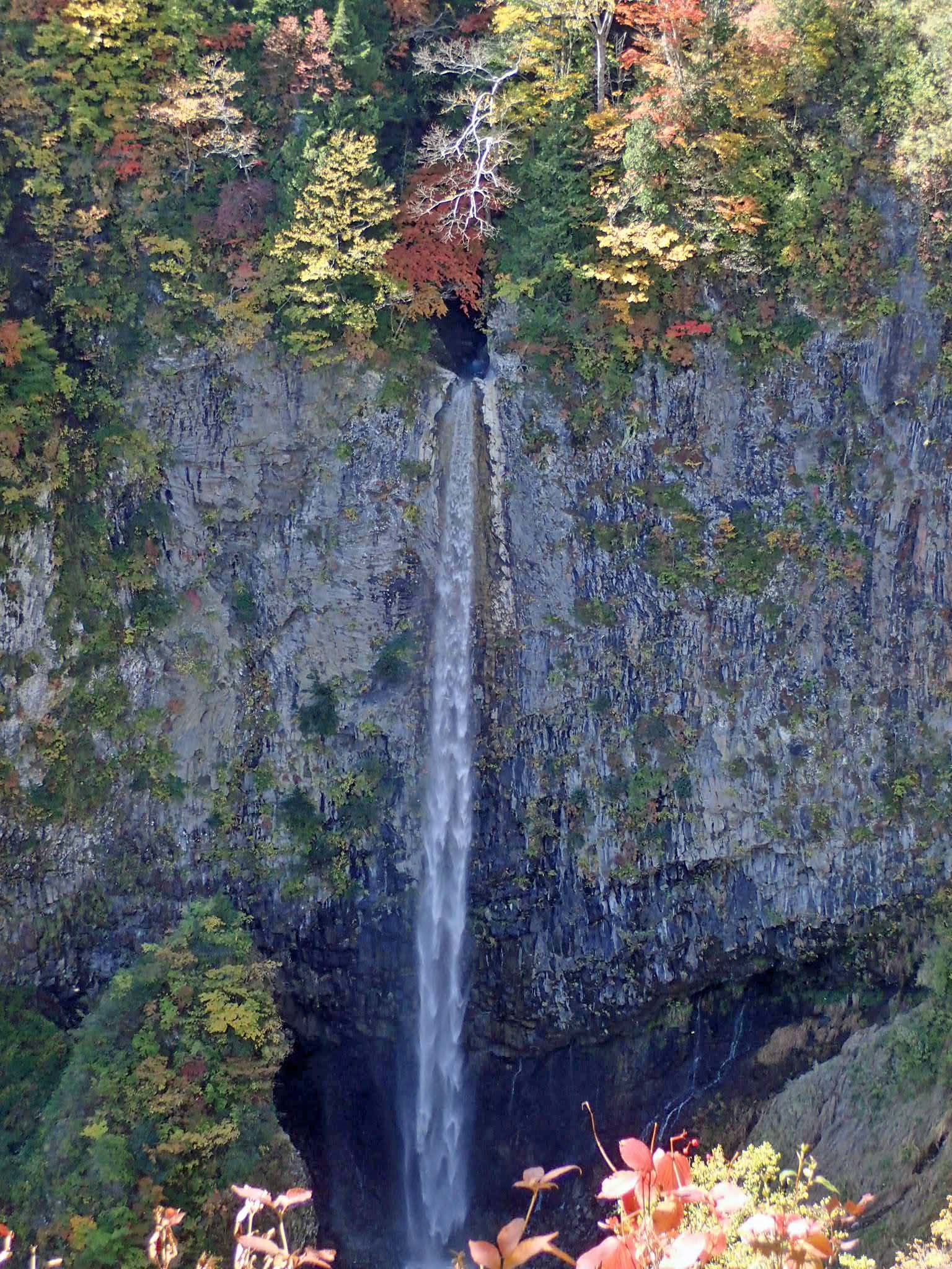 a0339187_11093639.jpg