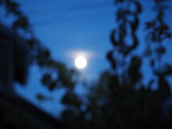 d0077992_08384368.jpg