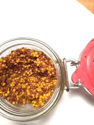 粒マスタード Nappaのスイス日記 粒マスタード Nappaのスイス日記