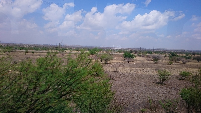 a0036693_00100892.jpg
