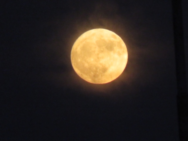 お月様_f0204295_18124921.jpg