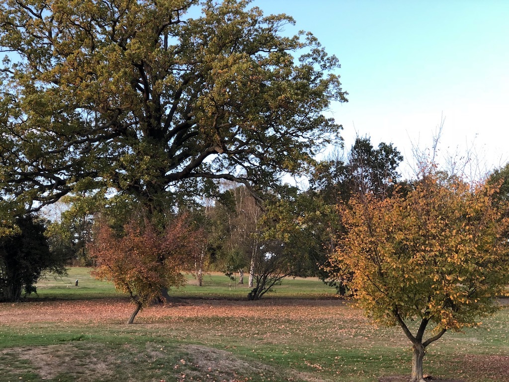 f0108399_09190622.jpeg