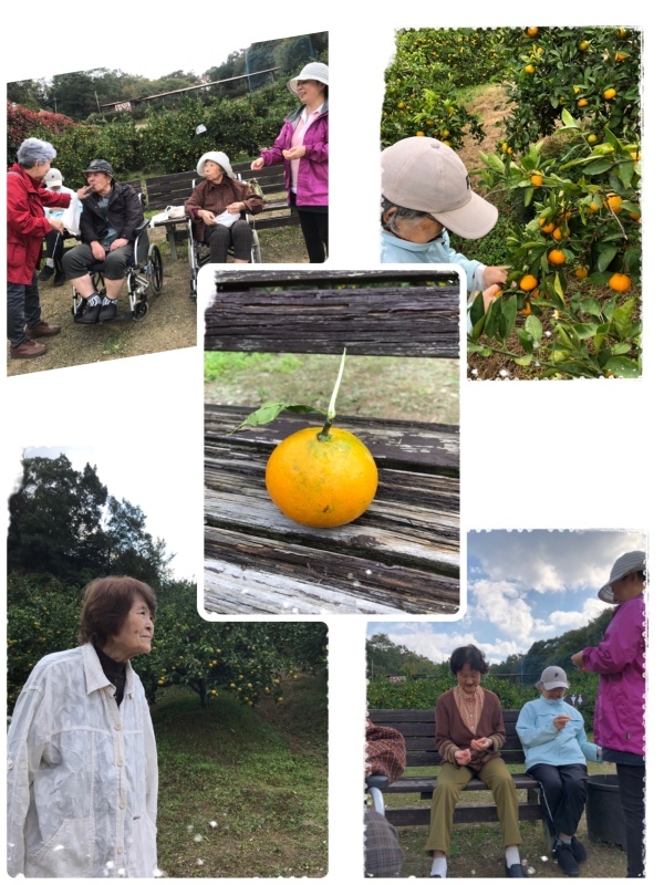 秋の遠足③〔南楽園〕_f0376200_15222971.jpeg