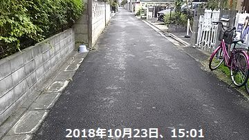 2018年10月23日（火）； 曇り～一寸晴れ～曇り_d0051601_12401837.jpg