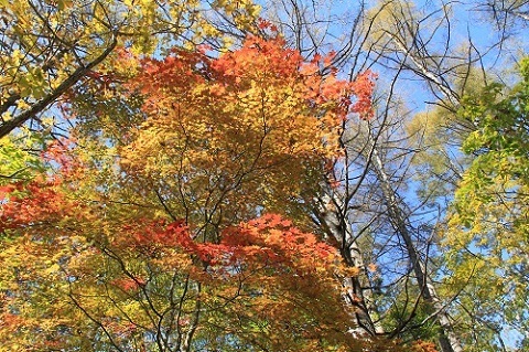 a0158702_08315281.jpg