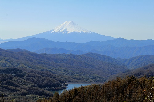 a0158702_08323584.jpg