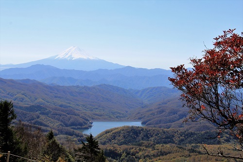 a0158702_08345072.jpg