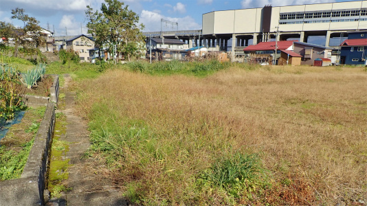 駐車場は今年最後の草刈り作業をしました_c0336902_21294858.jpg