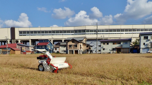 駐車場は今年最後の草刈り作業をしました_c0336902_21295154.jpg