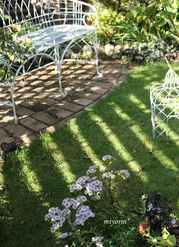 a0123003_10115004.jpg