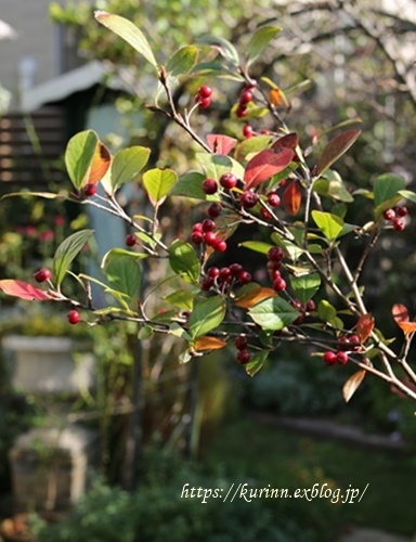 a0123003_10193912.jpg