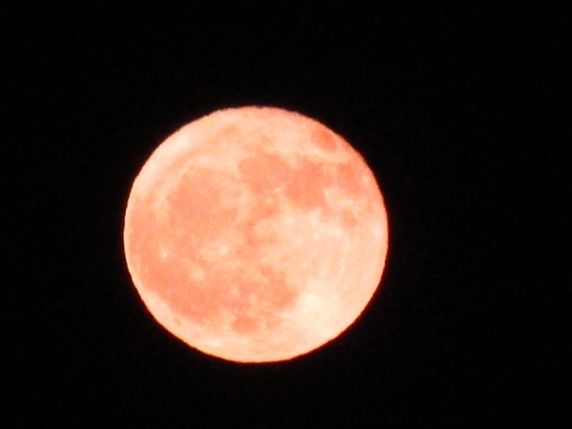 d0147804_23291992.jpg
