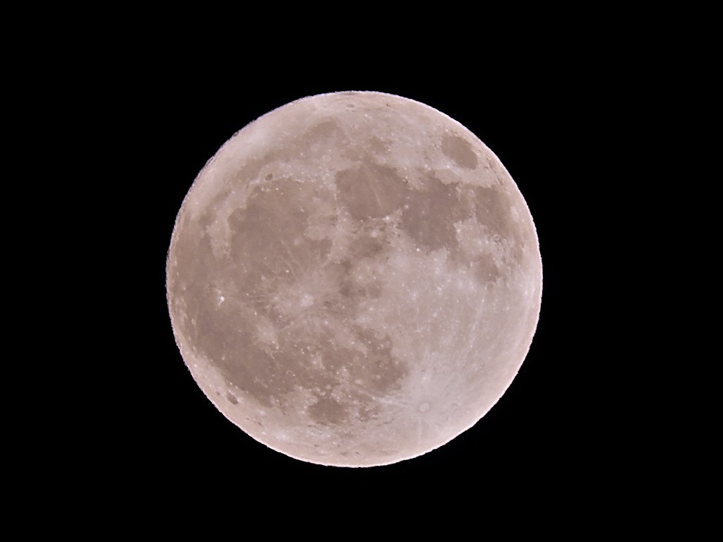 昨日の月と今日の満月 写真撮り隊の今日の一枚2 昨日の月と今日の満月 写真撮り隊の今日の一枚2
