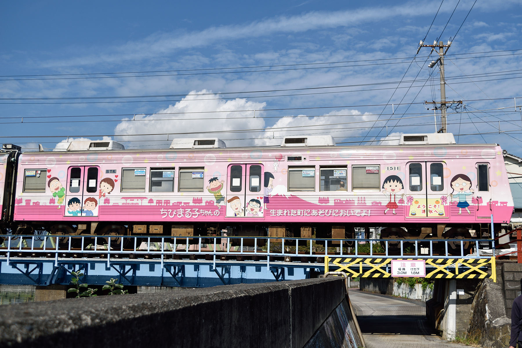 静岡鉄道 1000形 / 1011F - 「ちびまる子ちゃんラッピングトレイン」 -_d0226909_00084371.jpg