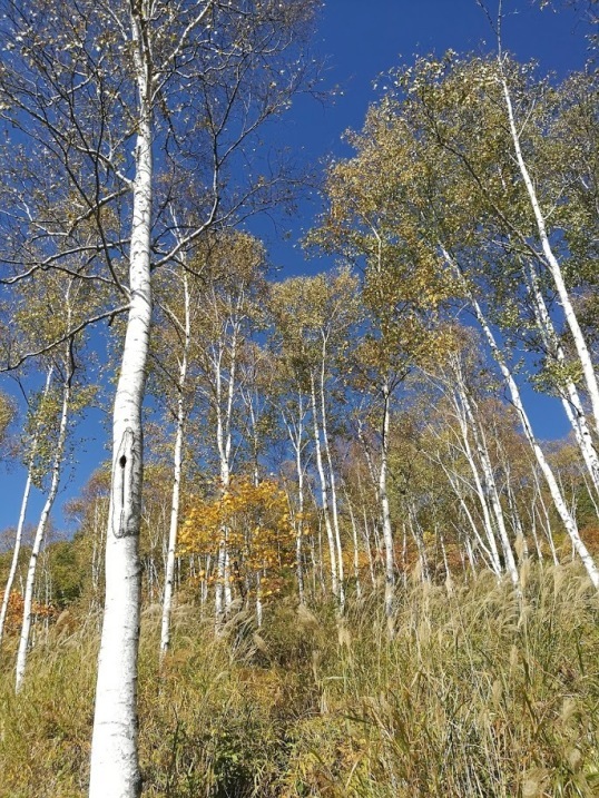 c0114110_15041701.jpg