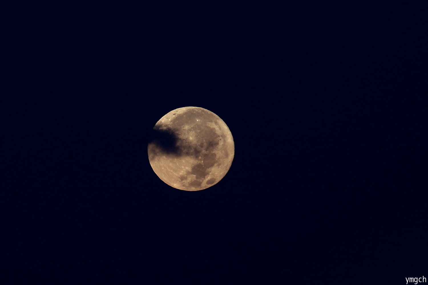 f0157812_08292046.jpg