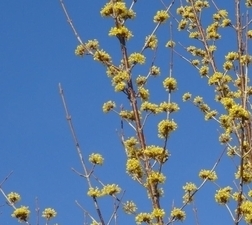 f0000521_01133823.jpg
