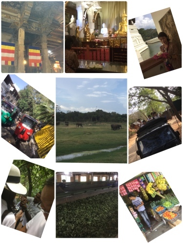 c0340022_11141527.jpeg