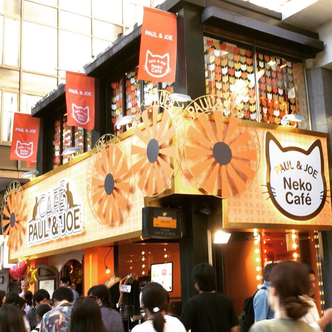 期間限定 Neko Cafe に行きました。_a0021523_09263136.jpg