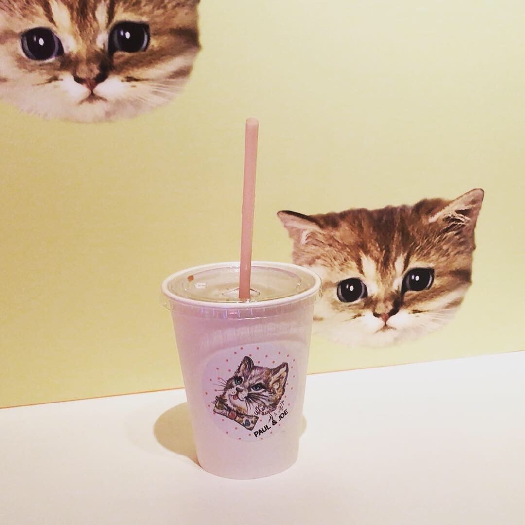 期間限定 Neko Cafe に行きました。_a0021523_09263164.jpg