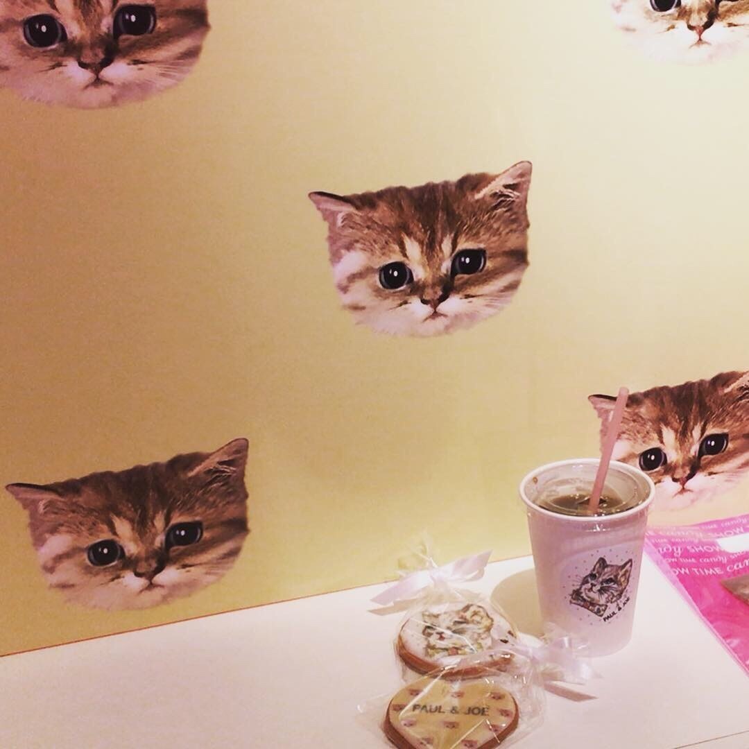 期間限定 Neko Cafe に行きました。_a0021523_09263222.jpg