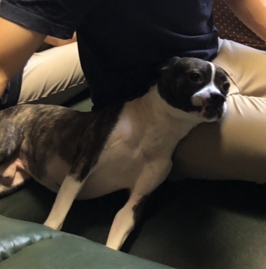 d0365027_22510451.jpeg