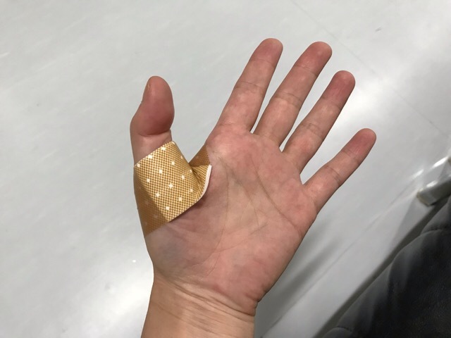 f0067528_20260085.jpeg