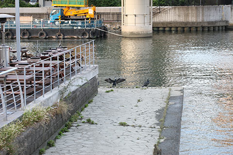 e0376329_00421641.jpg