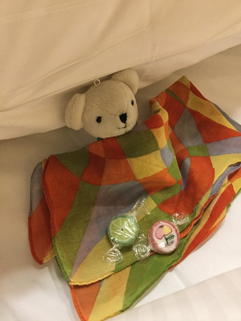 プロバンス（南仏）からクマノスケ便り_f0050534_22241059.jpg