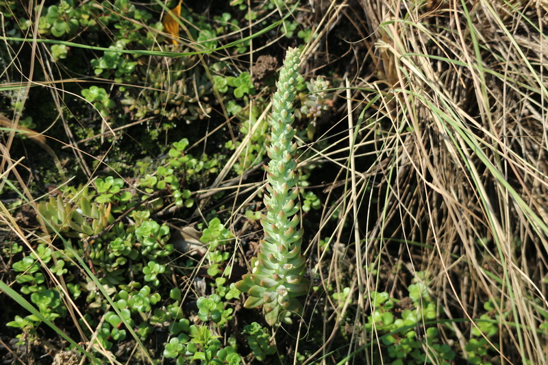 e0272335_9112631.jpg
