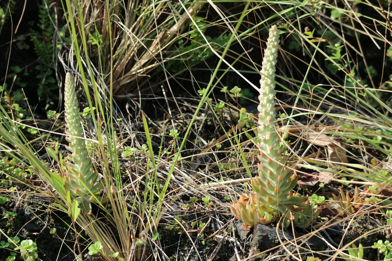 e0272335_9142932.jpg